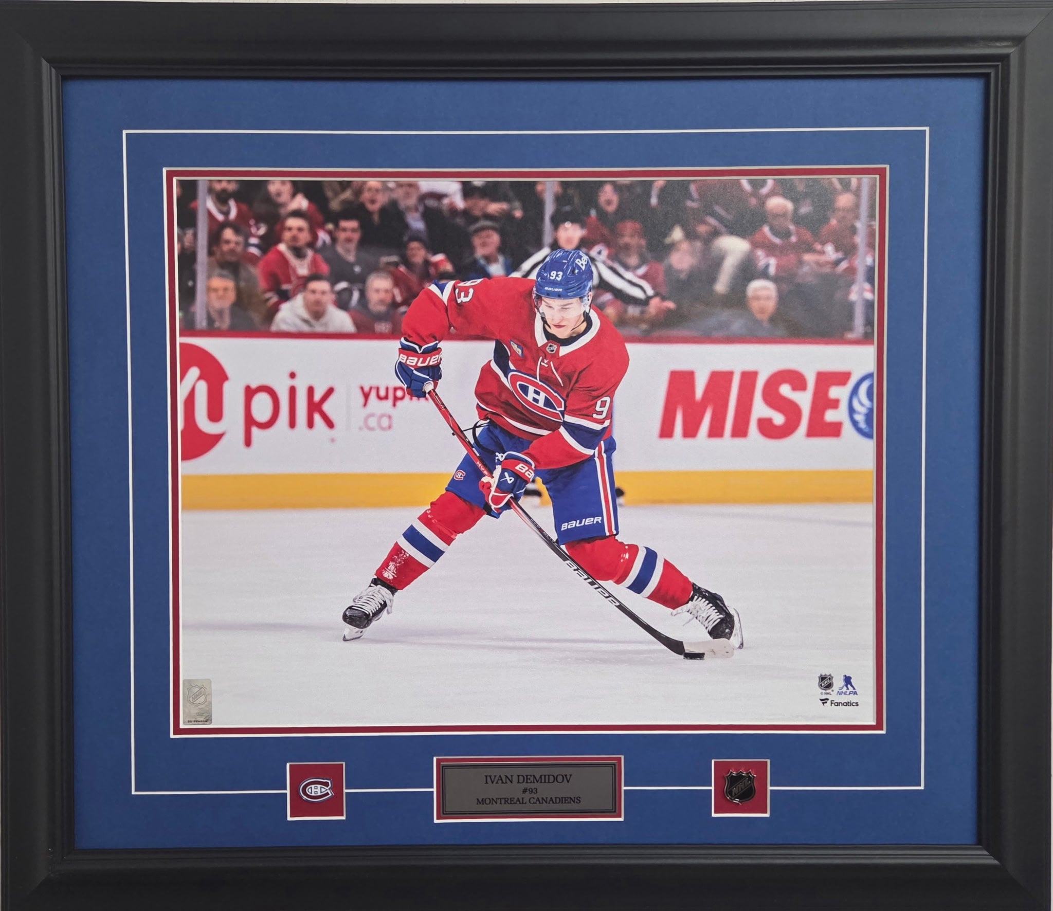 Ivan Demidov 16 x 20
